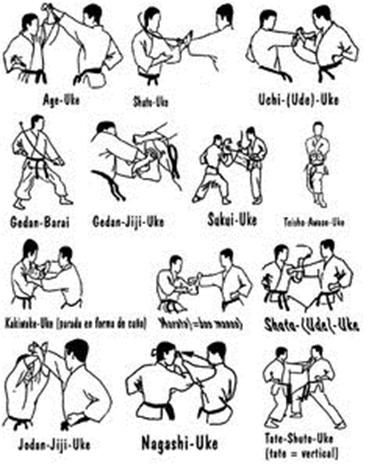 Karate Techniques Pdf